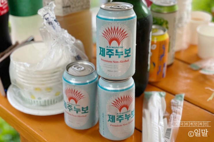 제주위트에일 논알콜맥주 숙취 없는 제주누보