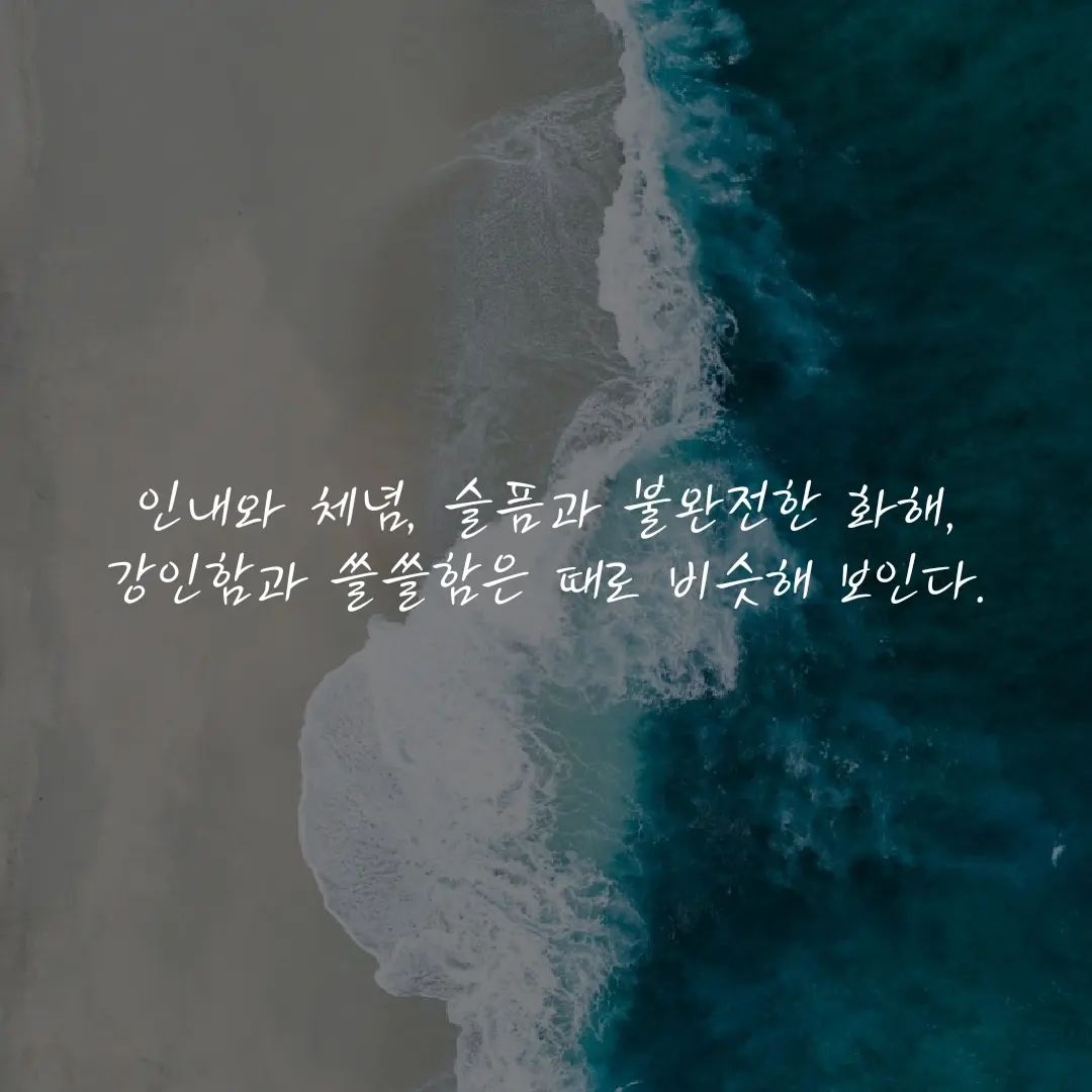 한강 작가님의 "작별하지 않는다"
두 번째 필사

#작별하지않는다 #작별하지않는다_한강 #한강 #죽음 #삶 #북스타그램 #필사 #書き写し #인상깊은글귀
#ハンガン