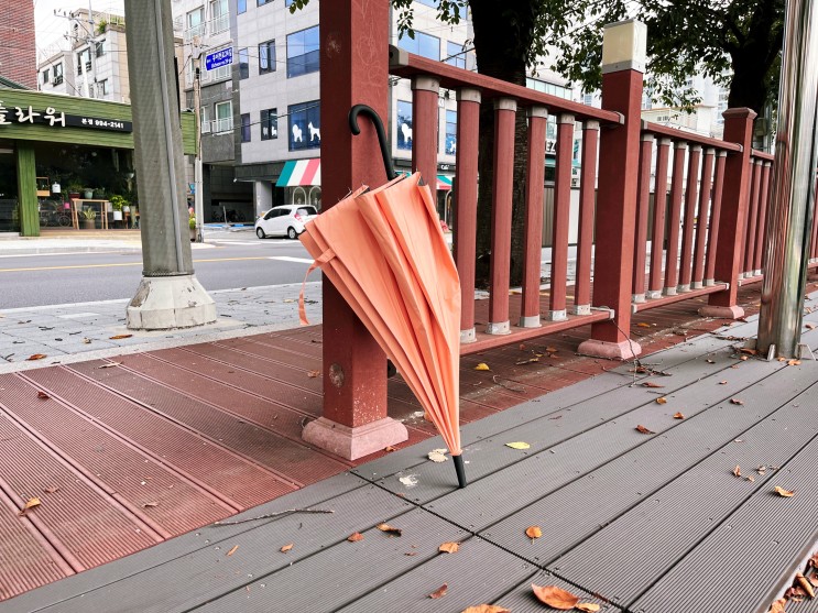 색상이 산뜻한 크로커다일 암막 남자 양산 겸용 자동 장우산 추천!