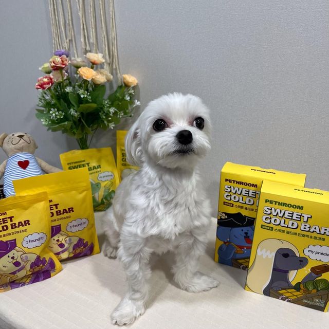 모찌 완자👑 on Instagram: "#협찬 #제품제공 #페스룸 친구들 안뇽🐶 모찌가 처음으로 소개하는 제품!!!!! 두구구두구두구두구두구……❤️‍🔥❤️‍🔥 (리슨투마핱빝!!!!포유!!!!🎶) . .