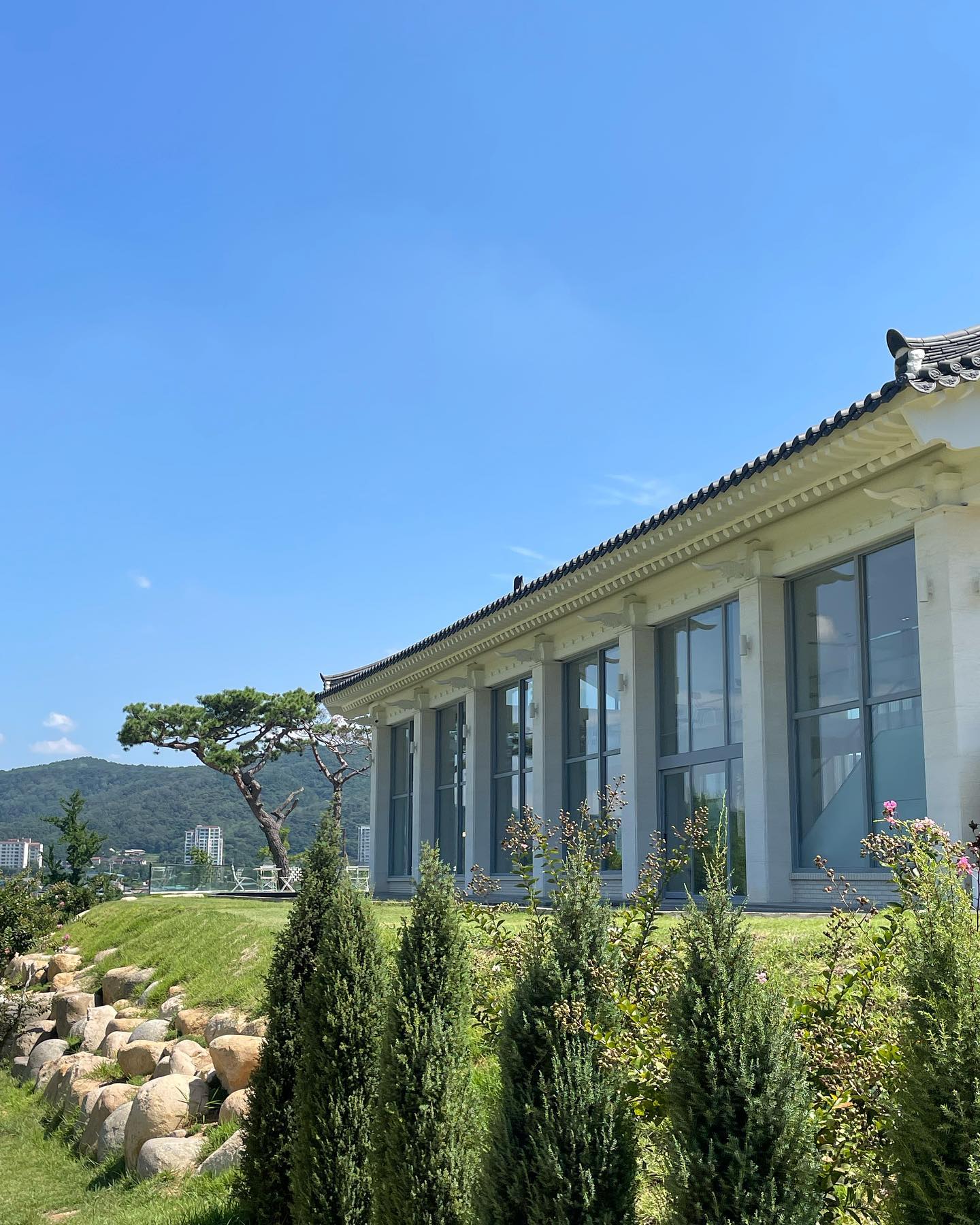 숲속 카페 🌳 초록초록 시원한 뷰가 힐링되는 공간 , 커피랑 빵도 다 맛있었다 🤎