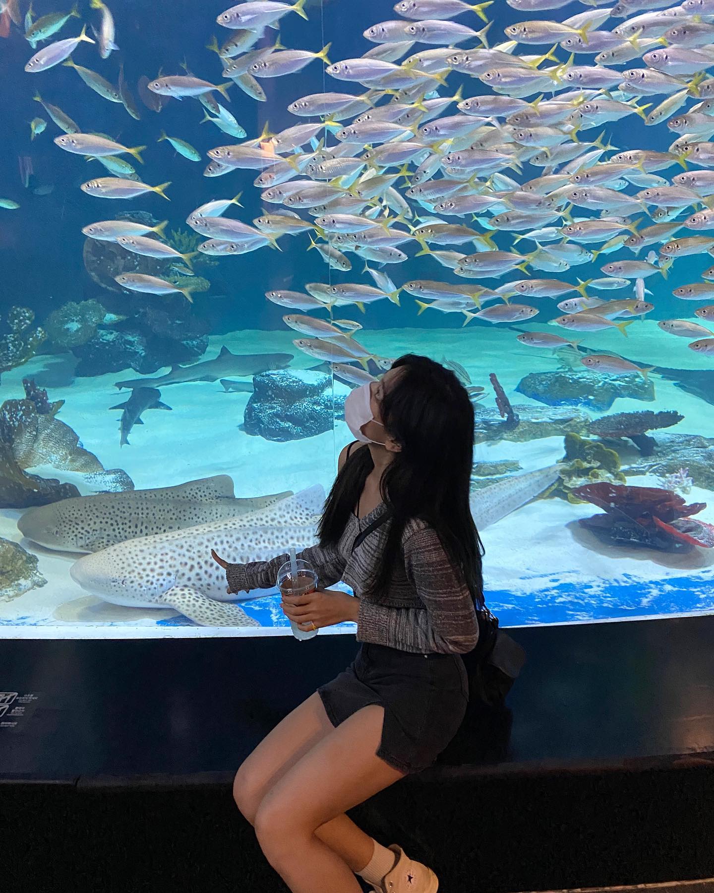 육지로 떠난 인어공주님을 만나 행복한 꼬기꼬기들🫧🐚🪸