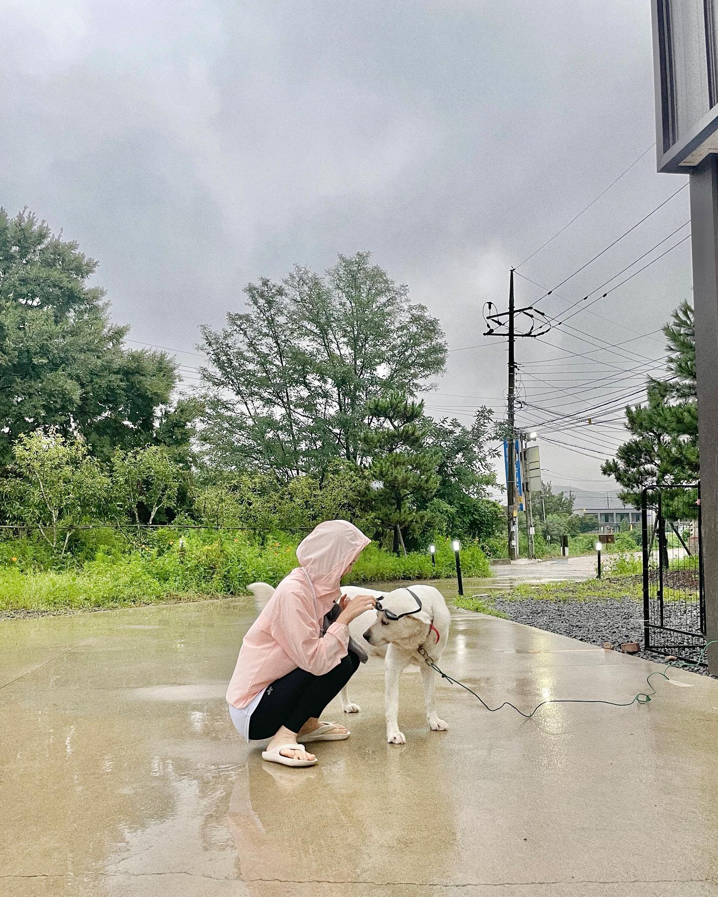 펜션 순둥이랑 🐶🕶🌧