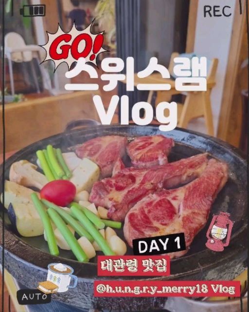 @h.u.n.g.r.y_merry18 on Instagram: "#첫줄안녕 #강원도여행 #스위스램 * * 안녕하세요 🖐🖐 메리에요! 오늘은 귀여운 🐑 양들이 있는 대관령으로 여행을 가게 됬어요ㅎ 💡 생각보다 양들이 우람한