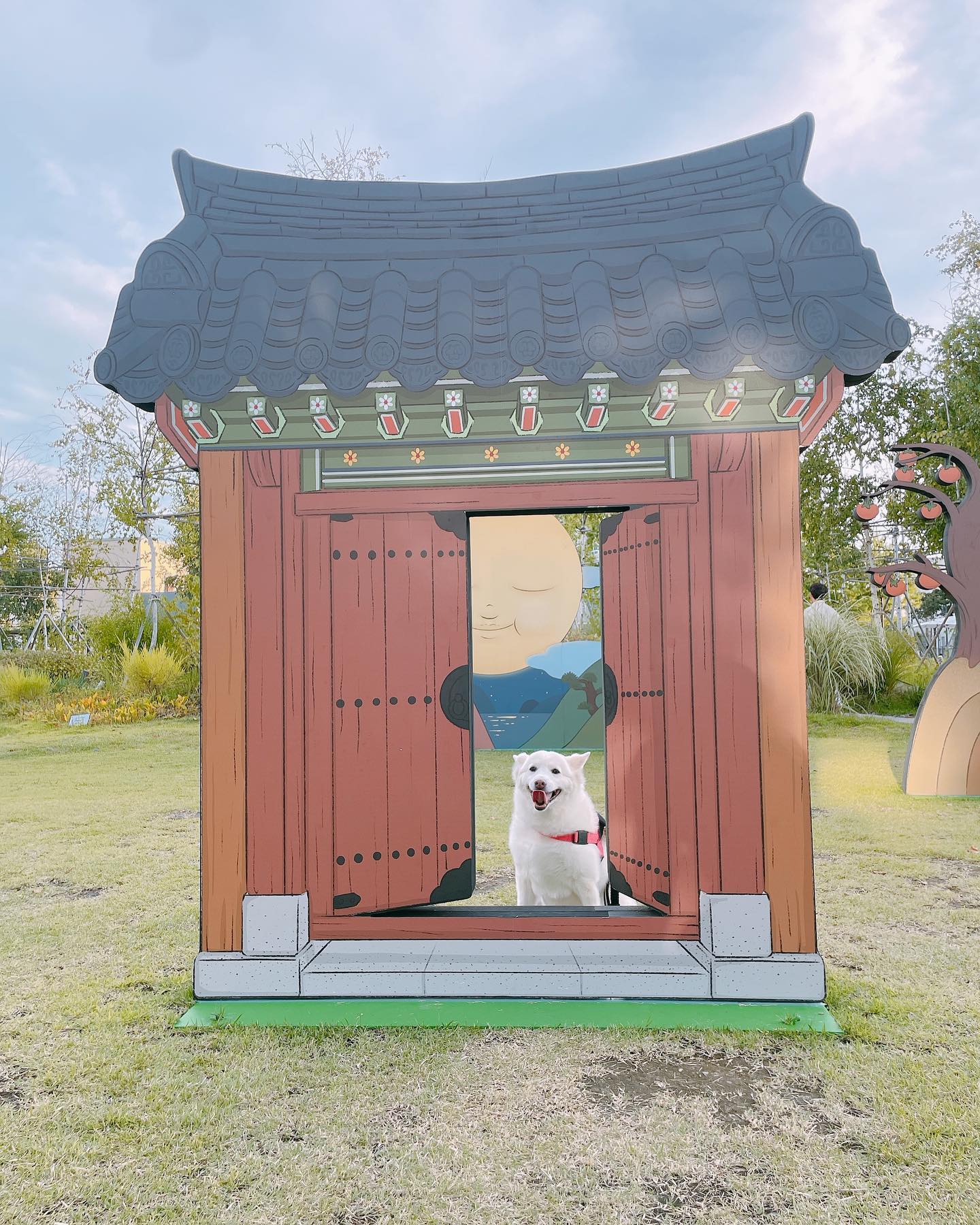 2022.09.18 위례스타필드 옥상🐶🌱

위례스타필드에 한옥 포토존이 생겼어요~

기와집도 있고, 보름달🌝, 감나무 등등

백화점 구경도 보리랑 같이하고, 신책도 할수있어서 좋은 위례 스타필드🐕🌱🌱

#위례스타필드 #산책그램 #포토존 #멍스타그램 #도그스타그램 #댕댕이그램 #🐶 #🌱