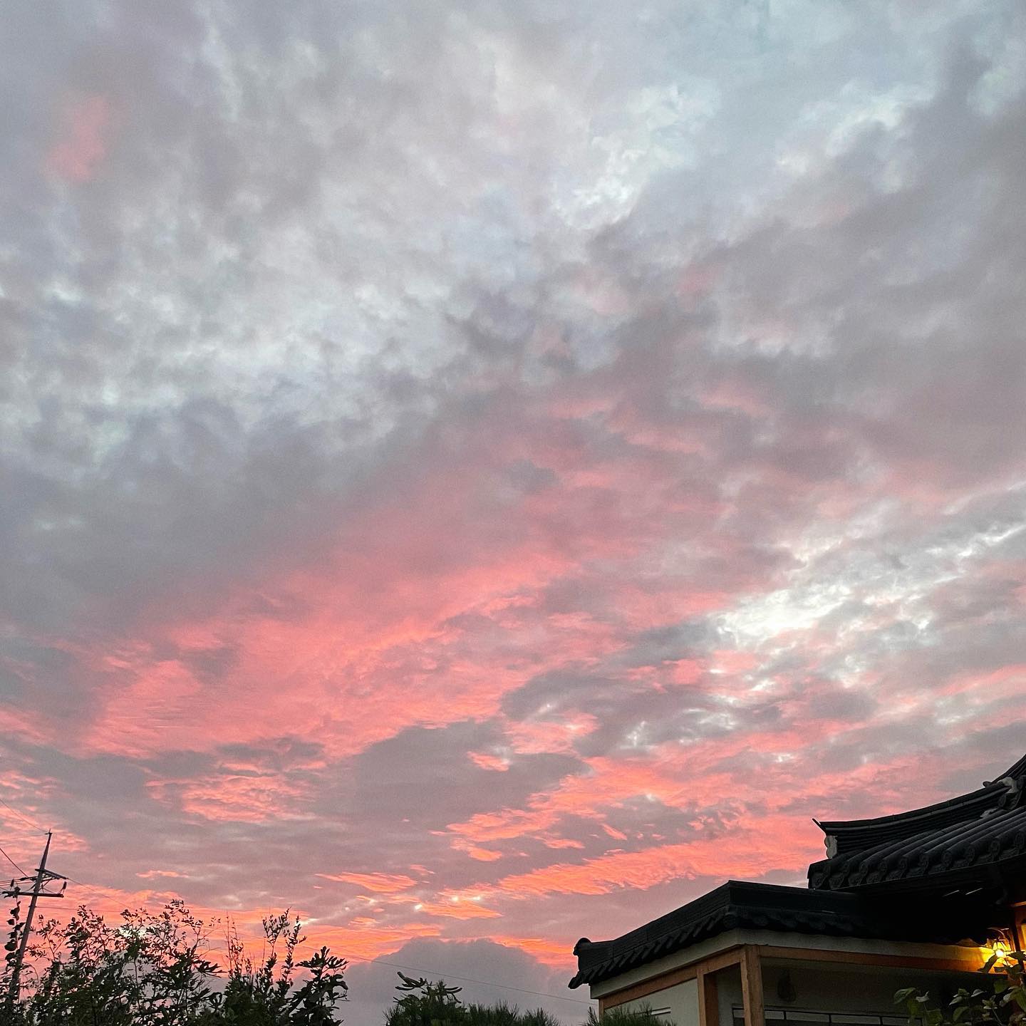 밤에는 별이 잔뜩 보이더라진챠•••🫶🏻