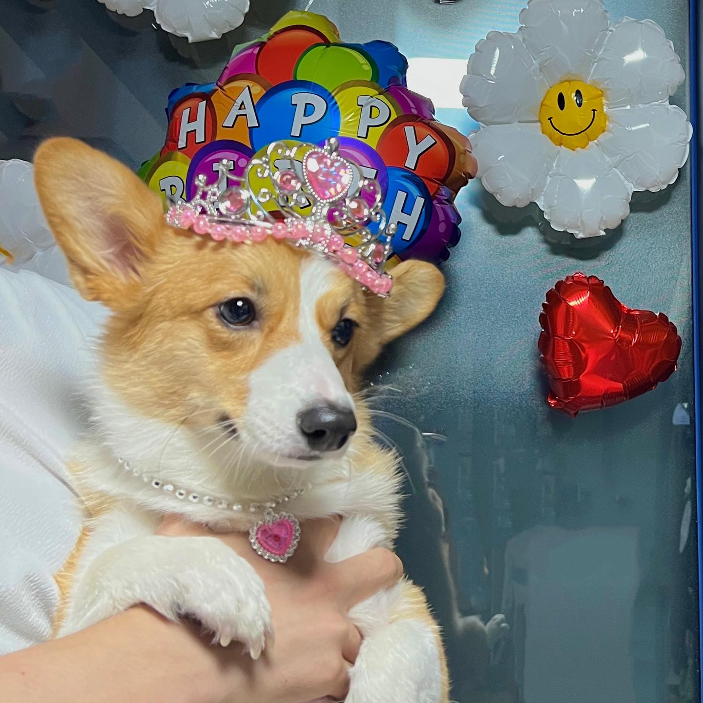 생일이고뭐고 현타가 오지게온 루비에요