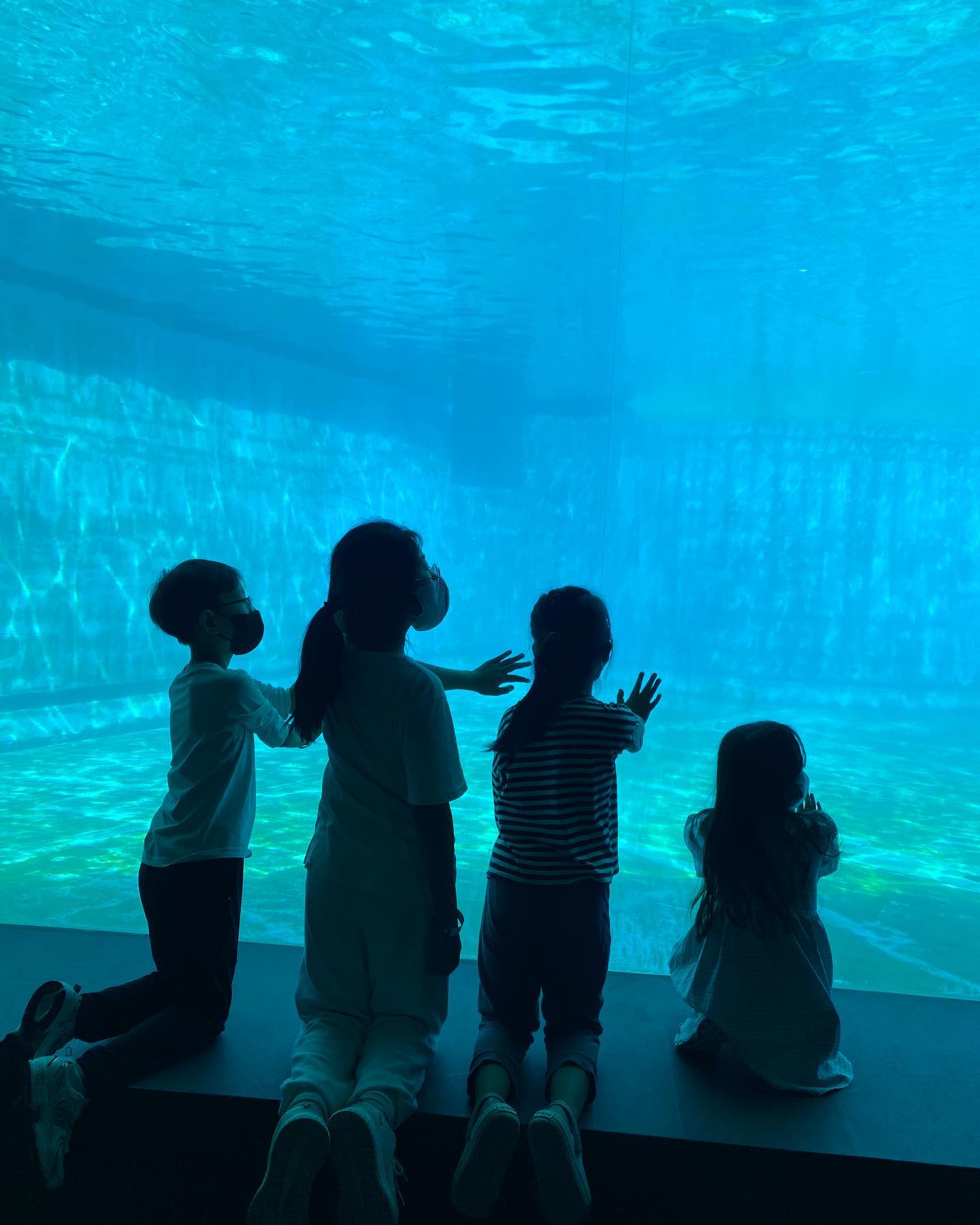 도윤이가 좋아하는 돌고래🐳
서울대공원에서 못봐서 아쉬웠는데 실컷 보고 왔다. 돌고래쇼 볼만하네😀

#거제씨월드 #돌고래쇼