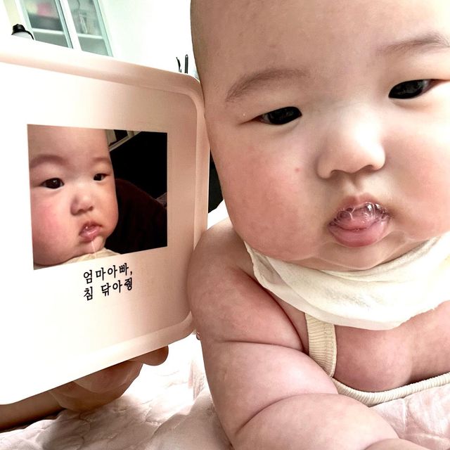 지지졔 on Instagram: "#협찬 #제품 #실사용후기 #블랙하비 에서 선물을 주셨어여!🙇‍♀️ 매일 사용 하는 휴지케이스에 귀여운 지유 사진이랑 마루사진이랑 해놓으니까 너무 귀엽고,
