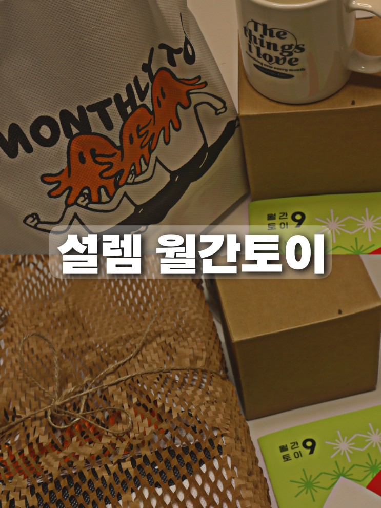월간토이 어덜트 토이 취미 구독 서비스 사용 후기