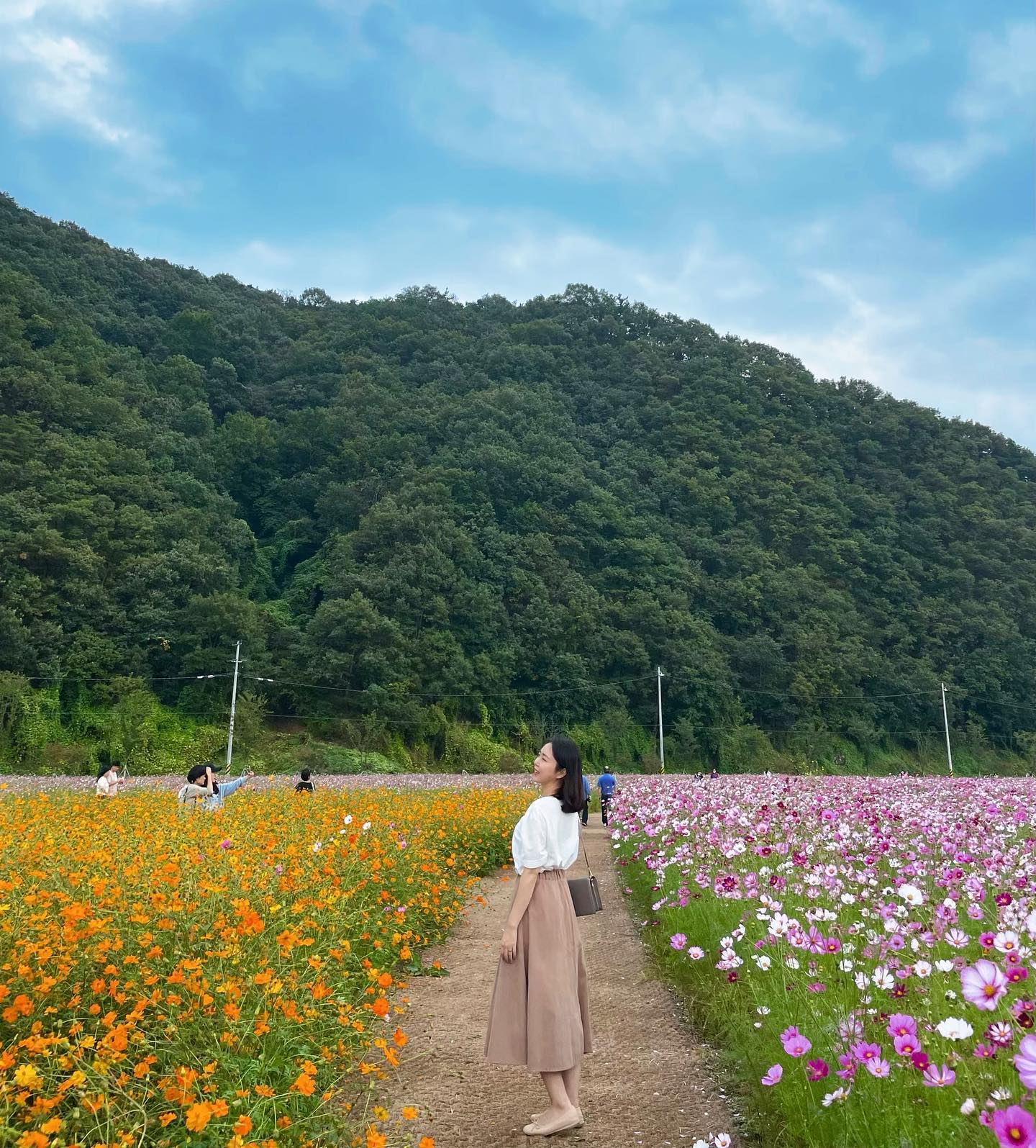 가을 즐기기🤎
#어북실 #가을데이트