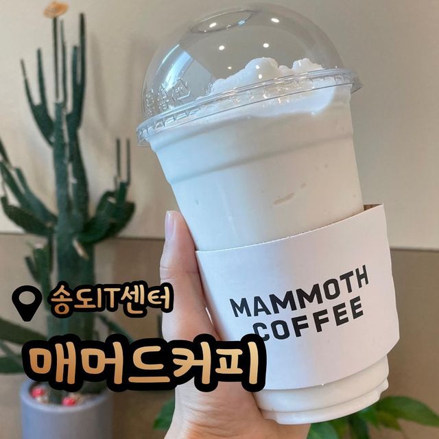 @purunhaessal on Instagram: "갓성비 매머드커피 아시나요? 900원갓성비 아메리카노에 디저트까지, 마스카포네 티라미슈랑 크레이프케이크, 폭탄카스테라까지, 디저트도 종류가 많더라구요. 샌드