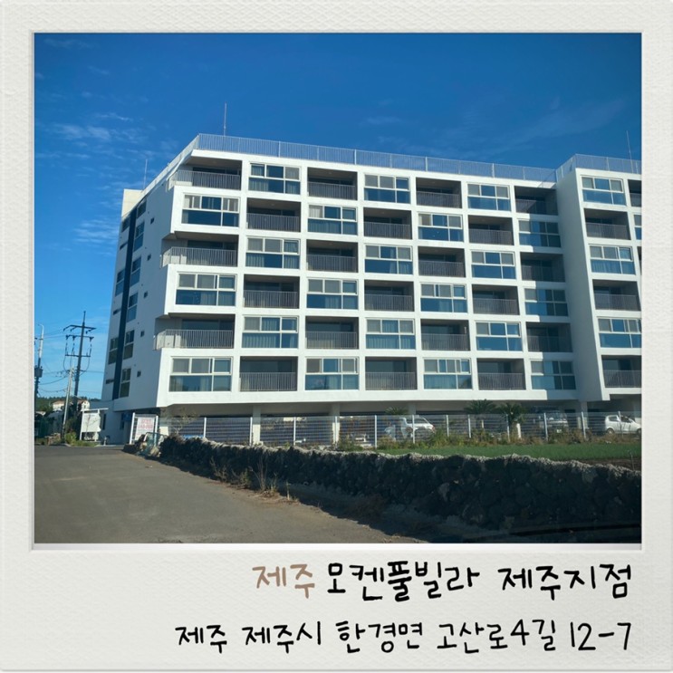제주도 숙소추천 렌트하우스 모켄풀빌라 제주지점
