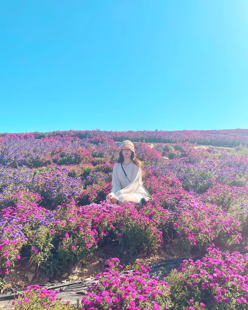 ʏᴜʟɪᴀ on Instagram: "하얗게 불태웠다 🫶🏻📷 #율리아 #거창여행 #아스타국화"