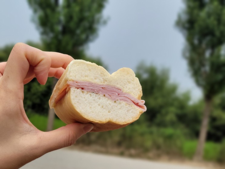 청담역 점심 잠봉뵈르 로드샌드위치 맛집