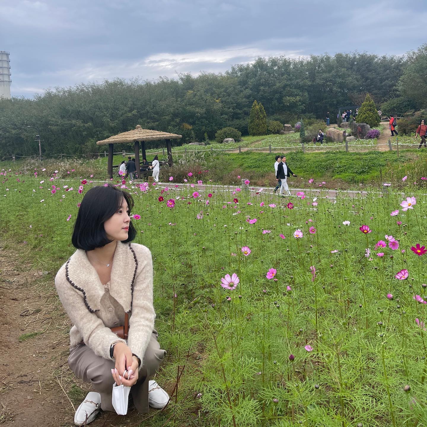콘텐츠