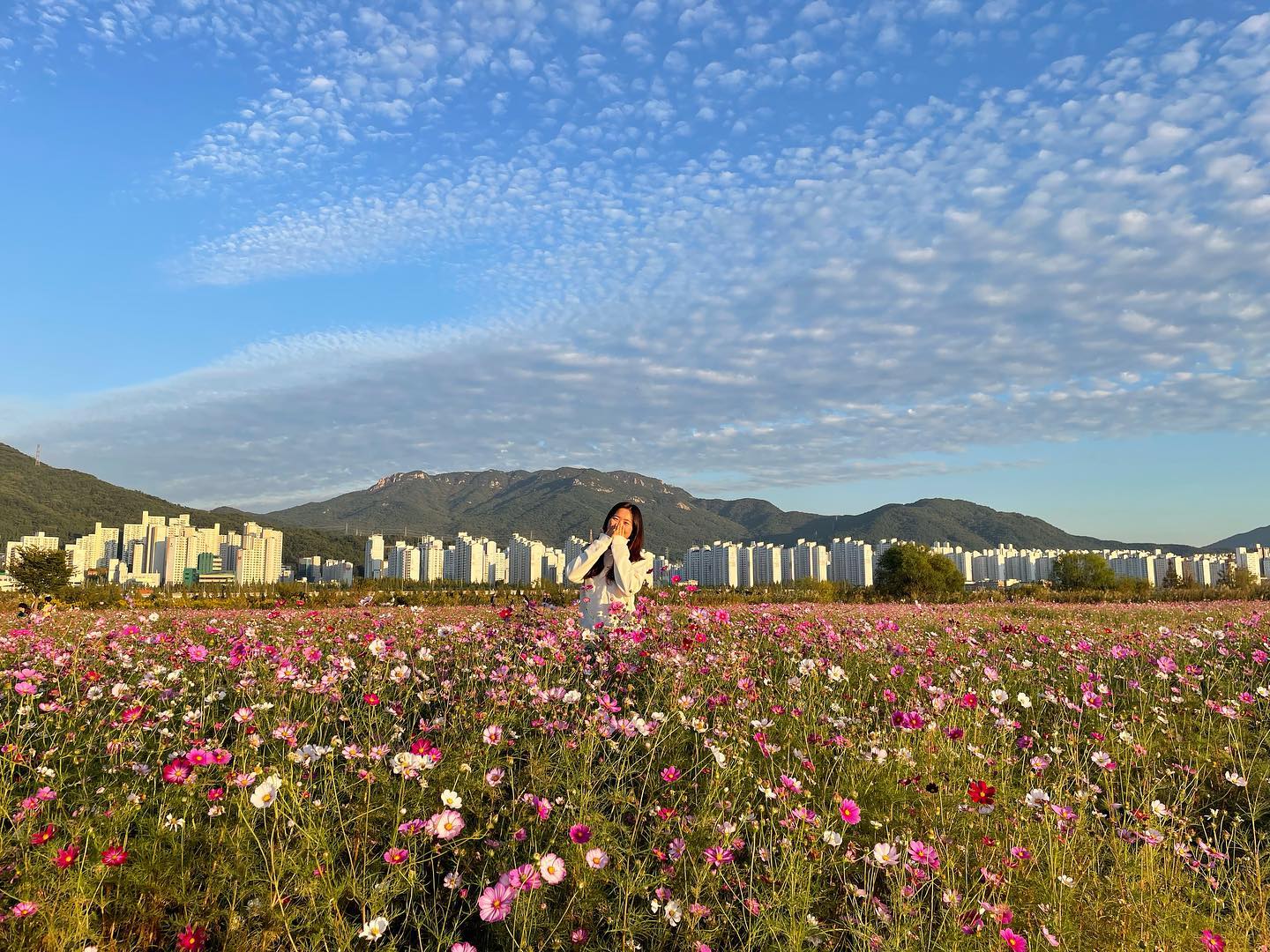 하늘에도 꽃이 핀 거 같네🌸☁️