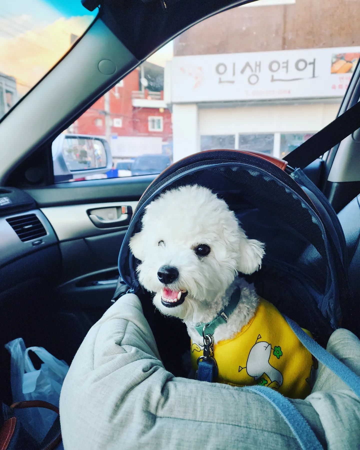 엄마와 페트니스 후 집으로 돌아가는길
나는 아직 체력이 남아 있어요

#일상 #일상스타그램 #소통 #좋아요 #좋아요반사 #선팔 #맞팔 #육아맘 #경남정보대학교반려동물
#펫트니스