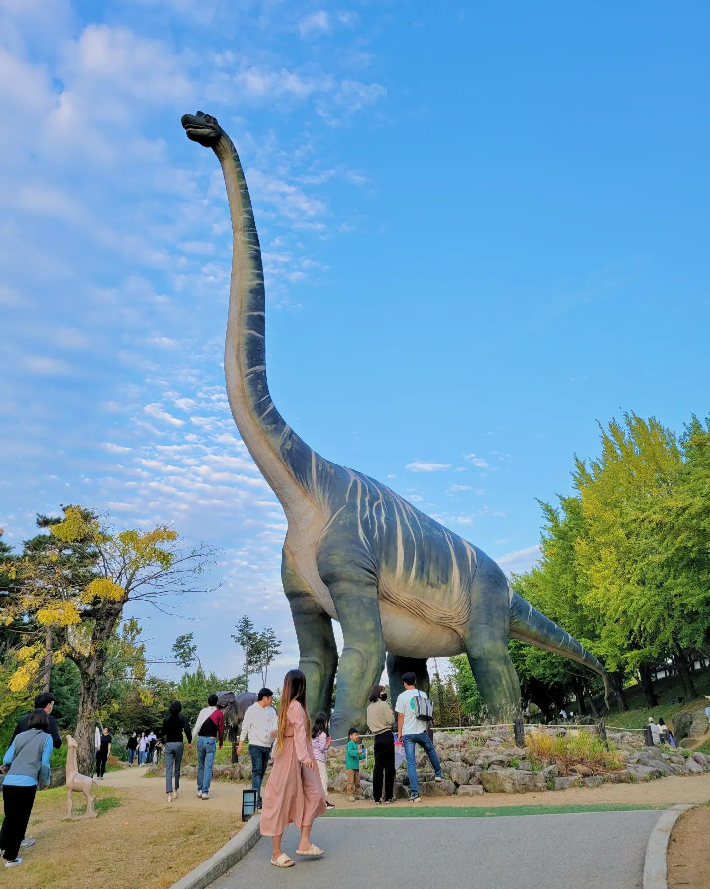 공룡 움직인다고 하는거 안믿었는데 진짜였어 ,, 👀🦕
근데 마감시간되니까 칼퇴했는지 안움직이더라 ? 🤭