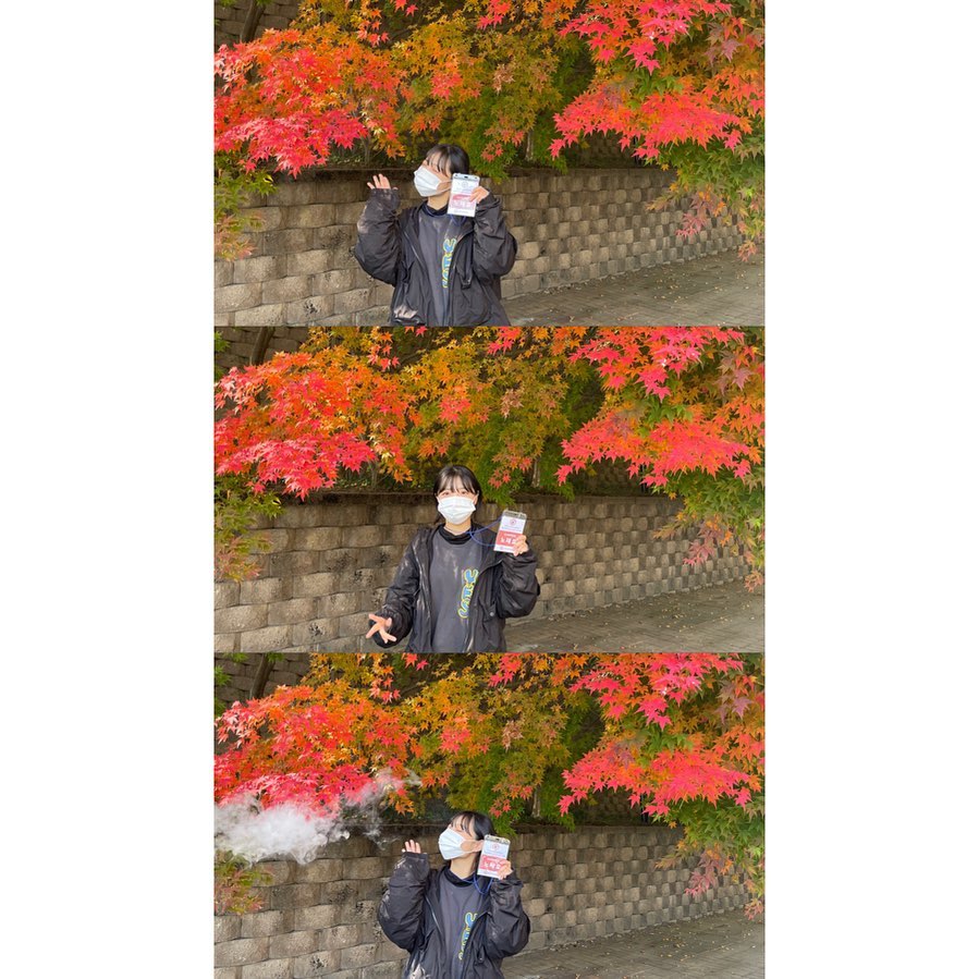 가을엔 취업캠프