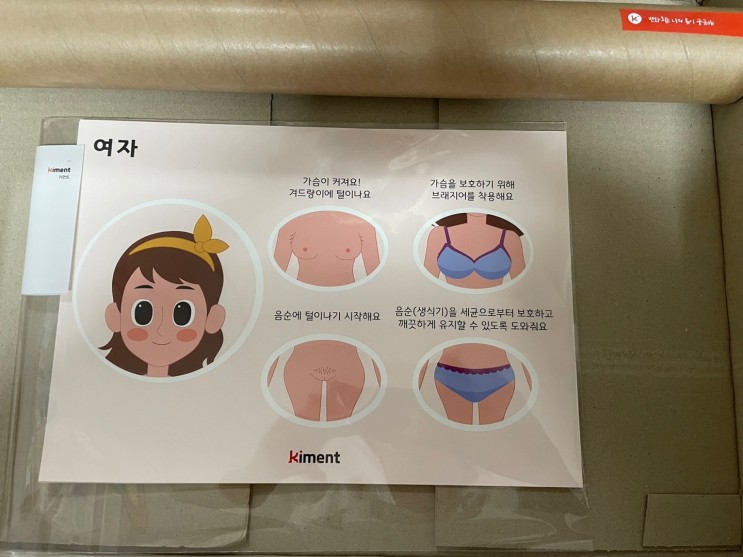 커먼트 나의몸 변화가 궁금하다면 신체포스터로 어린이성교육 재미있게 놀이로 배워요