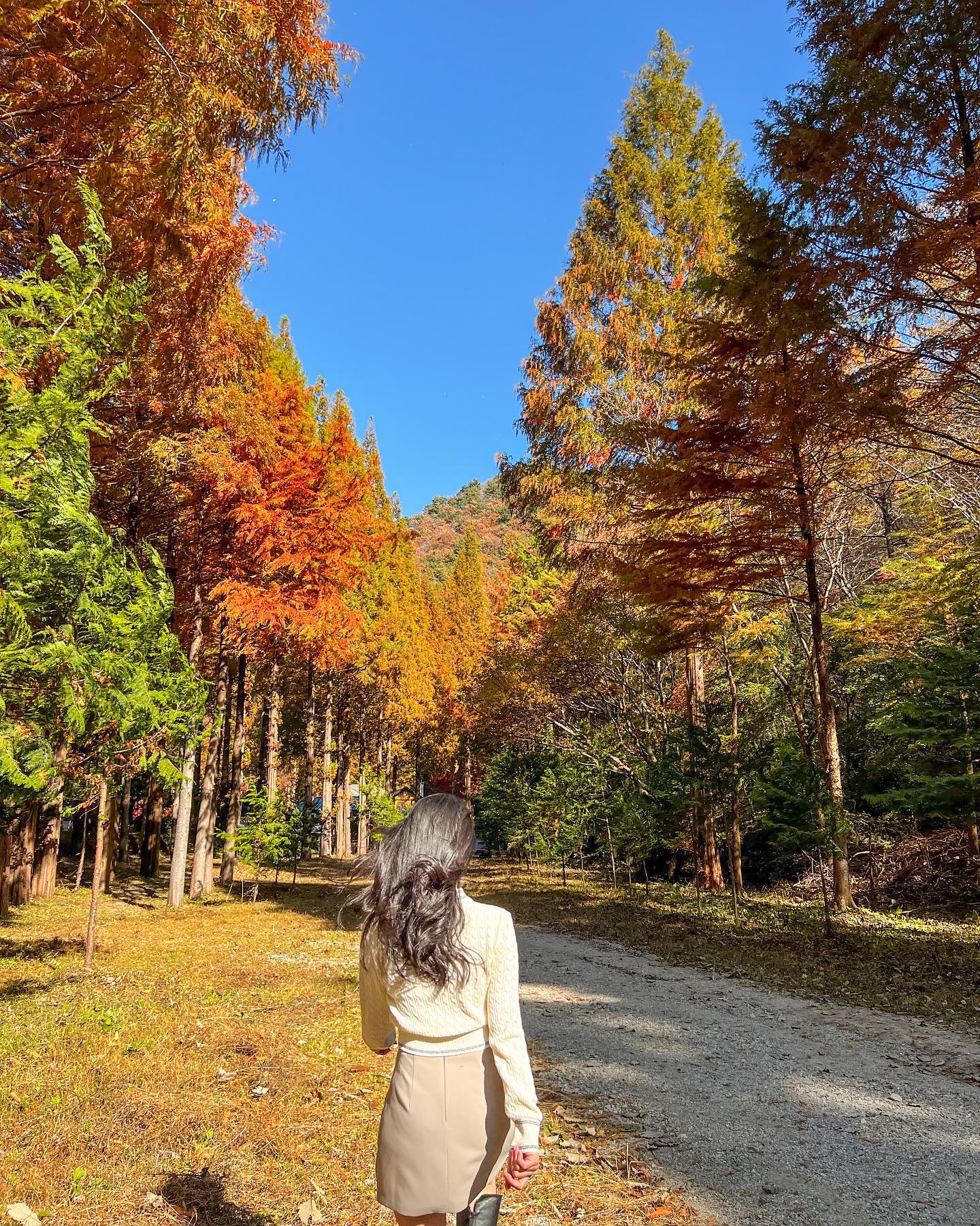 🍁아직 가을은 끝나지 않았다🤭♥️

메타세콰이어 단풍보려고
논산까지 갔다왔어요😊

남부지방에서는 보기 힘든 
#메타세콰이어숲 
다양한 색감과 커다란 크기에
이국적인 느낌까지 들어
정말 만족! 만족!😆🫶🏻

📍논산 온빛자연휴양림

#논산여행 #단풍명소 #단풍놀이
#메타세콰이어숲 #메타세콰이어길