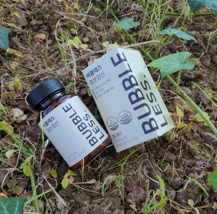 빈혈에 좋은 임산부 철분제 버블레스 철분엽산