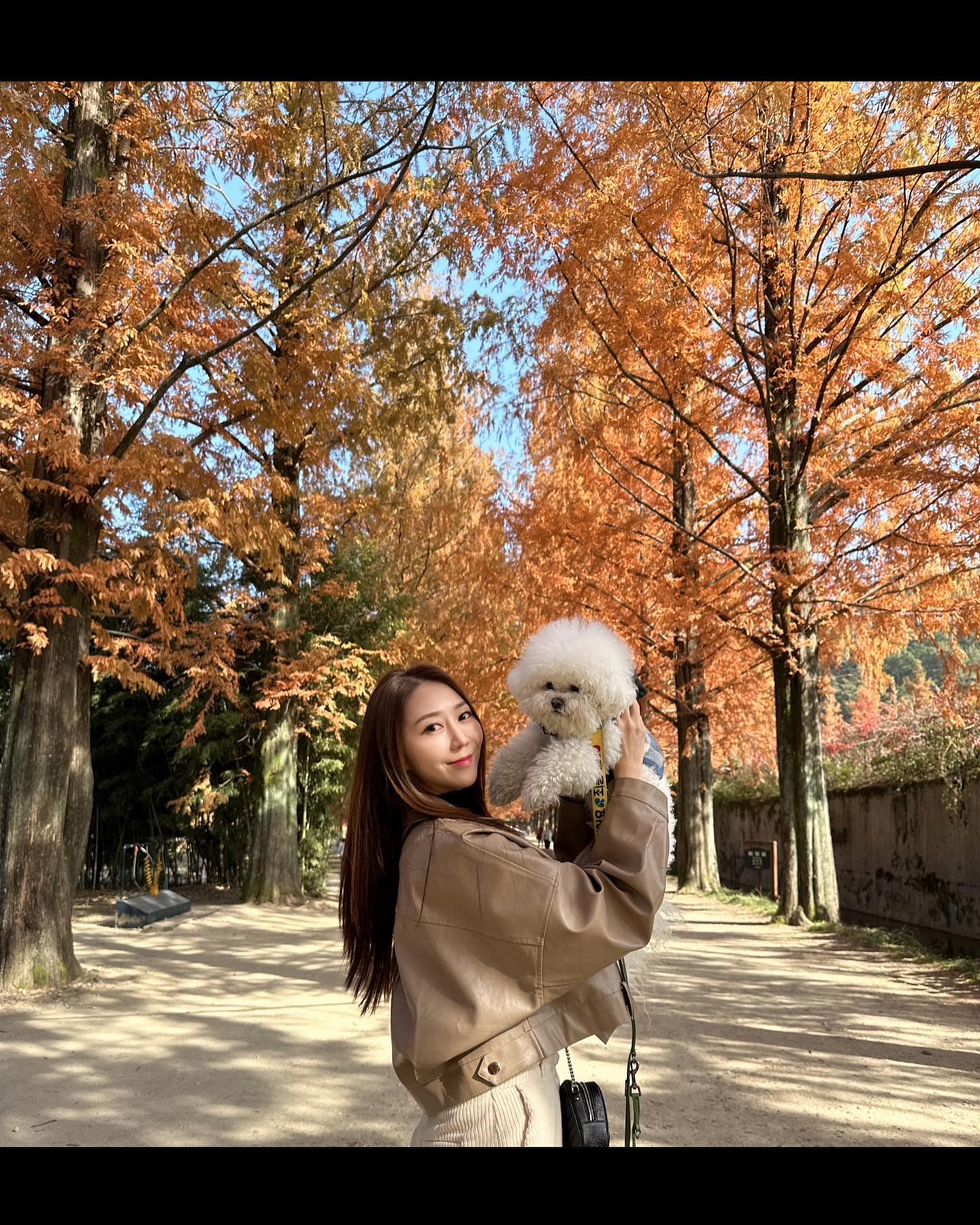 더 추워지기 전에 💕
.
.
전주 담양 여수 갓다왔는데
담양사진이 젤 많넹
mandu_bichon__
.
#전라도여행 #담양여행 
#담양 #메타세콰이어길 
#죽녹원 #애견동반
#애견동반여행
#담양국수거리 #강아지동반여행
#사진찍기좋은곳 #날씨좋다
#떠나요 #국내여행 #국내여행지추천
#여행 #여행에미치다 #힐링 #힐링여행