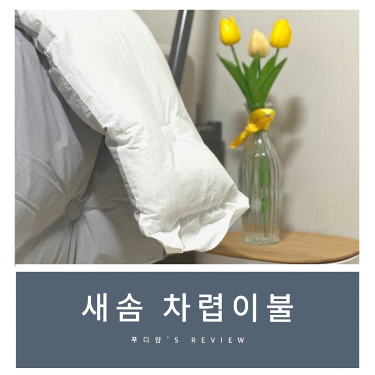 자취생 차렵이불 추천! 새솜 알러지케어 침구세트 후기