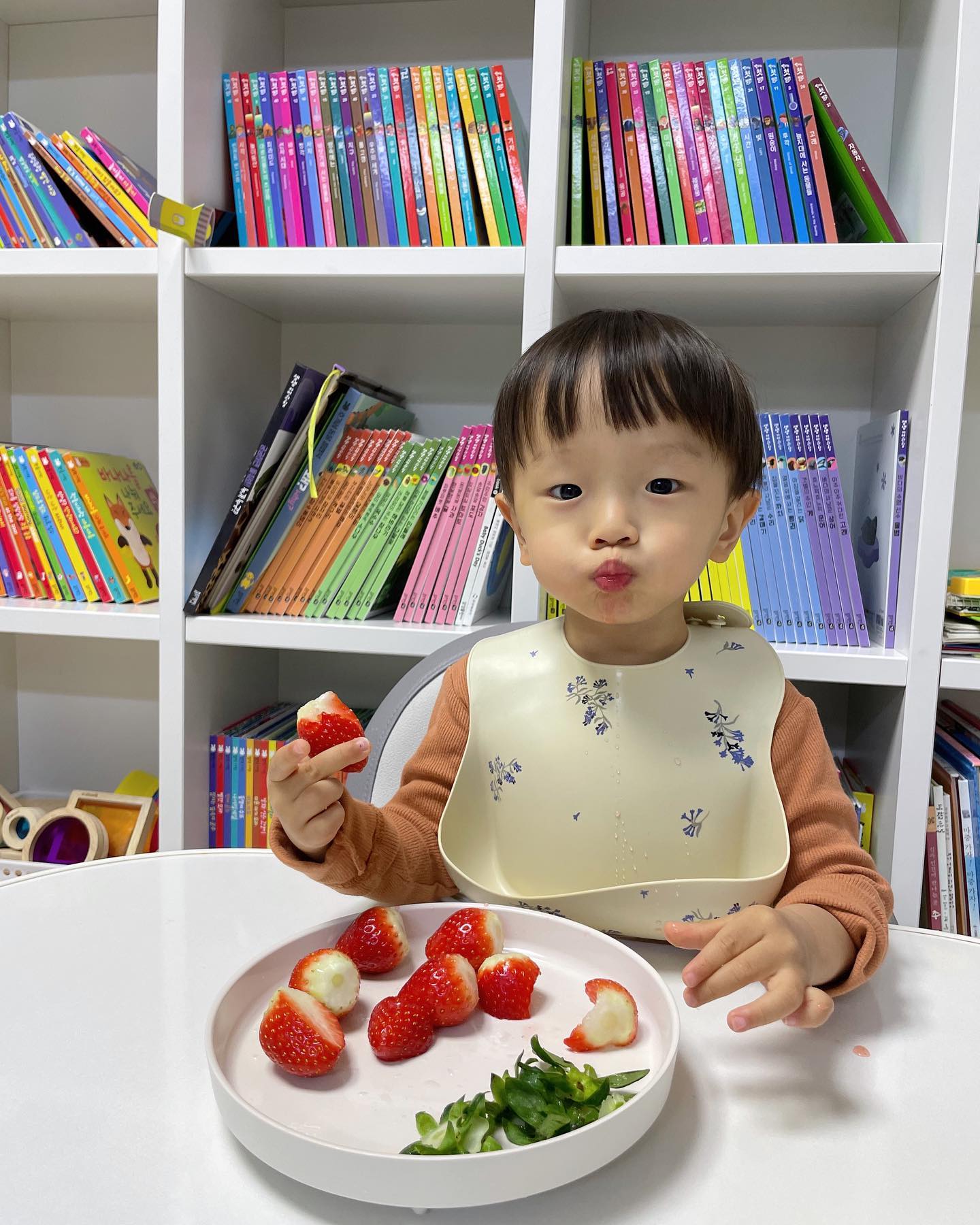 🍓

이번겨울 첫딸기🍓🍓🍓

자연관찰 책보면서 딸기딸기하길래
한팩사줫더니 좋아죽음💃🏻
바나나두개 딸기열알 연속클리어
먹성진짜👍👍

엄빠지갑거덜나기직전
매일먹는 우유도 가격대폭상승
이론ㅠㅠㅠ

#미친물가