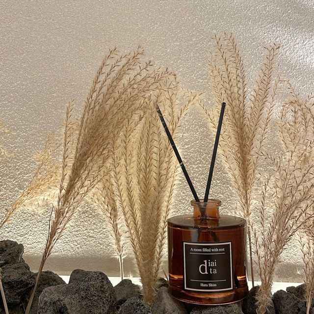 김소명 on Instagram: "#협찬 기분 좋은 우디향으로 시작되는 하루ʕ¨̮ʔ 「 쉼이 있는 공간, 𝒹𝒾𝒶𝒾𝓉𝒶 」 시트러스 향으로 시작해서 마지막 잔향은 깊이있는 리프레쉬한 무