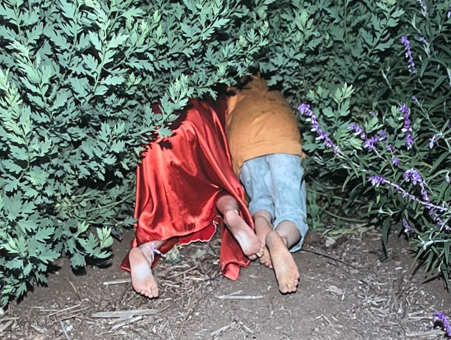 콘텐츠