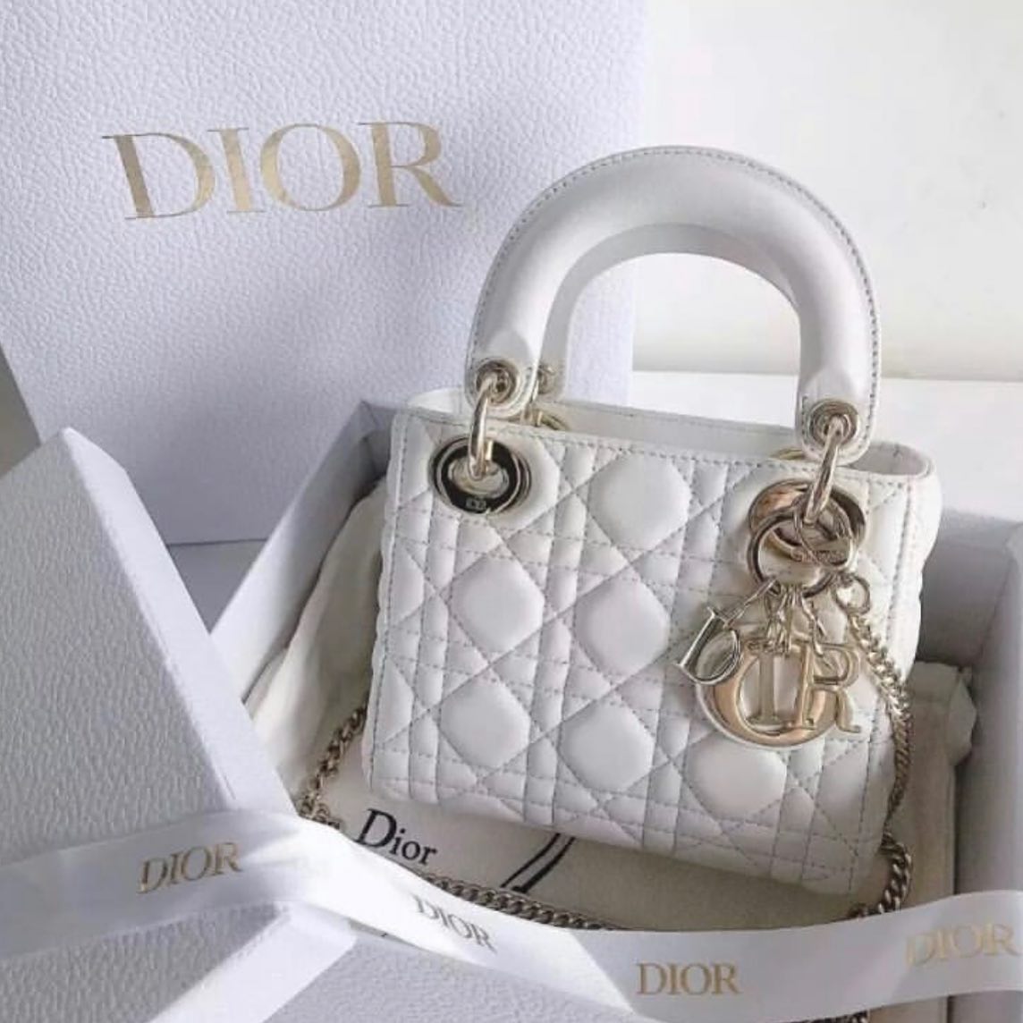 Dior 🌺