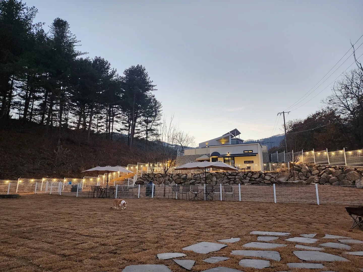 스토리에 올렸었는데 개인적으로
저한테 많이 물어보셔서 피드에 박제 🌟 

✔️ '가평에이바이독' a_by_dog
애견운동장&카페와 애견독채펜션을 함께 운영중이세요 (오픈하신지 아직 한달 ㅎ)

✔️ 아직 정보가 많이 안올라왔더라구요
저만 알고 싶은 곳이지만 중.대형견 펜션 갈곳 많이 없는데 정보 공유차 알려드려요!

친구가 다녀왔는데 넘 좋아보여서 
물어보고 바로 예약! 
🌟 주말인데 완전 가성비 가격이더라구요
(평일에는 더 저렴한...*)

버거랑 남펴니와 완전 힐링 가득한
시간 보내기에 딱이었던 에이바이독.

✔️ 입실해서도 애견운동장 맘껏 이용 가능하지만 더 좋았던건 저녁 8시 이후
버거만 애견운동장 단독으로 이용
가능했던 점이 진짜 너무 대박이었어요.

우리버거는 방에 들어올 생각이 없었습니다.

보통 독채가 있긴하지만 울타리 ? 정도 인데 여기는 저녁바베큐 이용시간 때에 버거 풀어놓고 
신나게 바베큐랑 불멍을 즐겼어요:)

사장님도 너무 다 친절하셨구요!

✔️ 펜션안은 2인 ~4인용이지만
 2인이 적당할것 같아요

버거혼자 쓰기에 너무 아까운 운동장이라 밤에 누구를 부를까도 진지하게 고민했답니다 🤣
다견가정 정말 강추드리고 싶네오

✔️ 혹시 예약하고 싶으신분은 저는 연락처 받아서 연락드렸는데 우선 인스타 디엠으로 보내보시구 혹시 연락처 알고 싶으시면
저한테 디엠주세요!

#가평애견펜션#가평펜션추천#가평독체펜션#대형견펜션#중형견펜션#웰시코기펜션#가평애견동반#가평애견동반펜션 #가평펜션 #가평애견카페#에이바이독