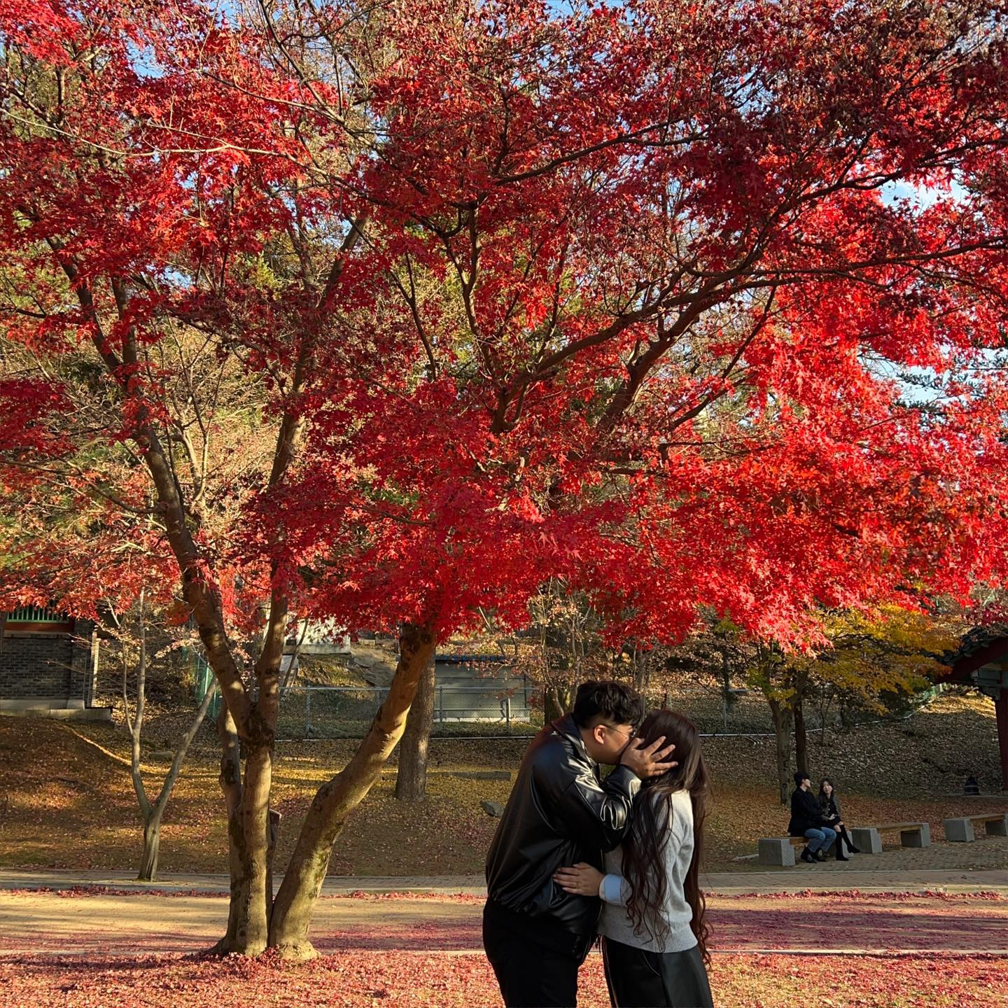 애플와치 없응께 사진 찍기 넘 불편해 ( ˃﹏˂ഃ )