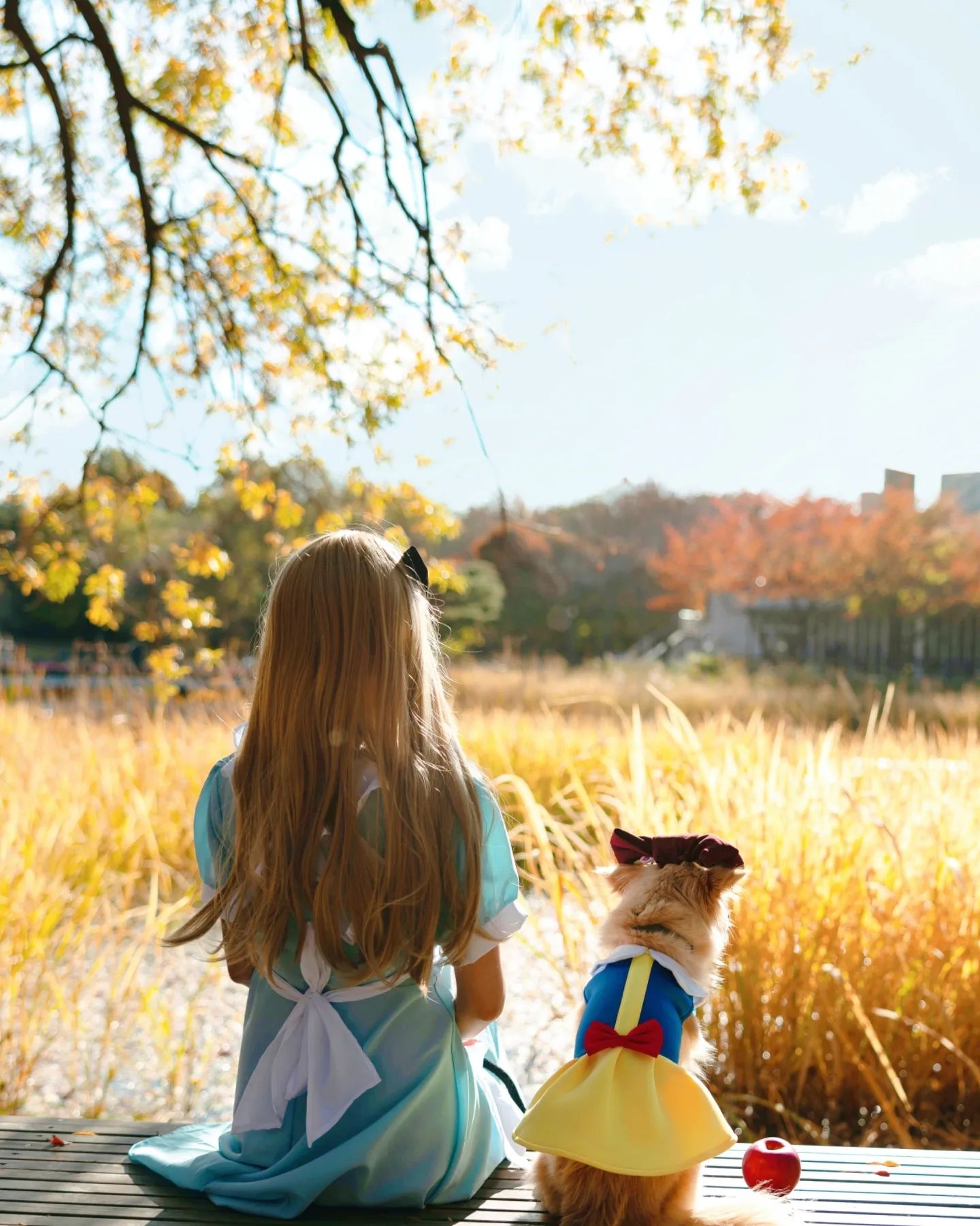 Happily ever after ~the end~
.
.
#neverend #할로윈뒷북 #한달넘은고래북 #서울숲 #서울숲스냅 #앨리스와백설공주 #하니로켓 #하니의이상한나라에온걸환영해 #🚀❤️