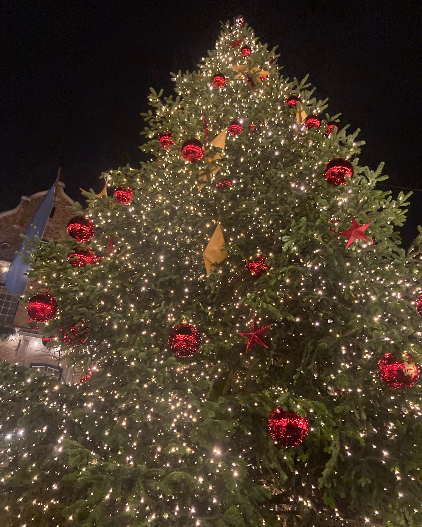 ✅ 소원성취 
성탄절 한달전부터 즐기기 ✨ #weihnachtsmarkt