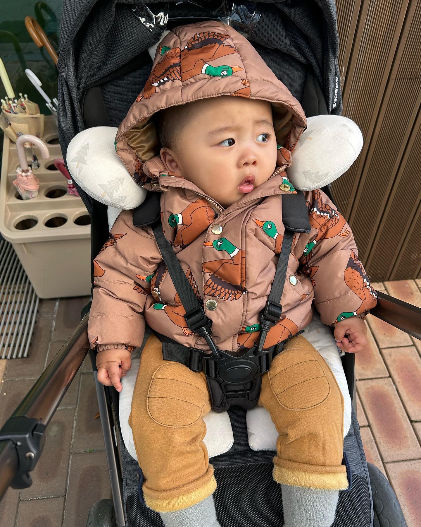누나 등하원길엔 완전무장🥶🥶

#등원길 #하원길 #완전무장 #겨울 #코감기 #11개월 #너도곧이야 #어린이집 #엄마는자유 #아들맘 #딸맘 #남매맘 #육아맘 #스시집사장님 #초밥집사장님 #스시 #초밥 #일식 #놀러와요 #선팔 #맞팔 #좋아요반사 #좋반테러 #좋아요