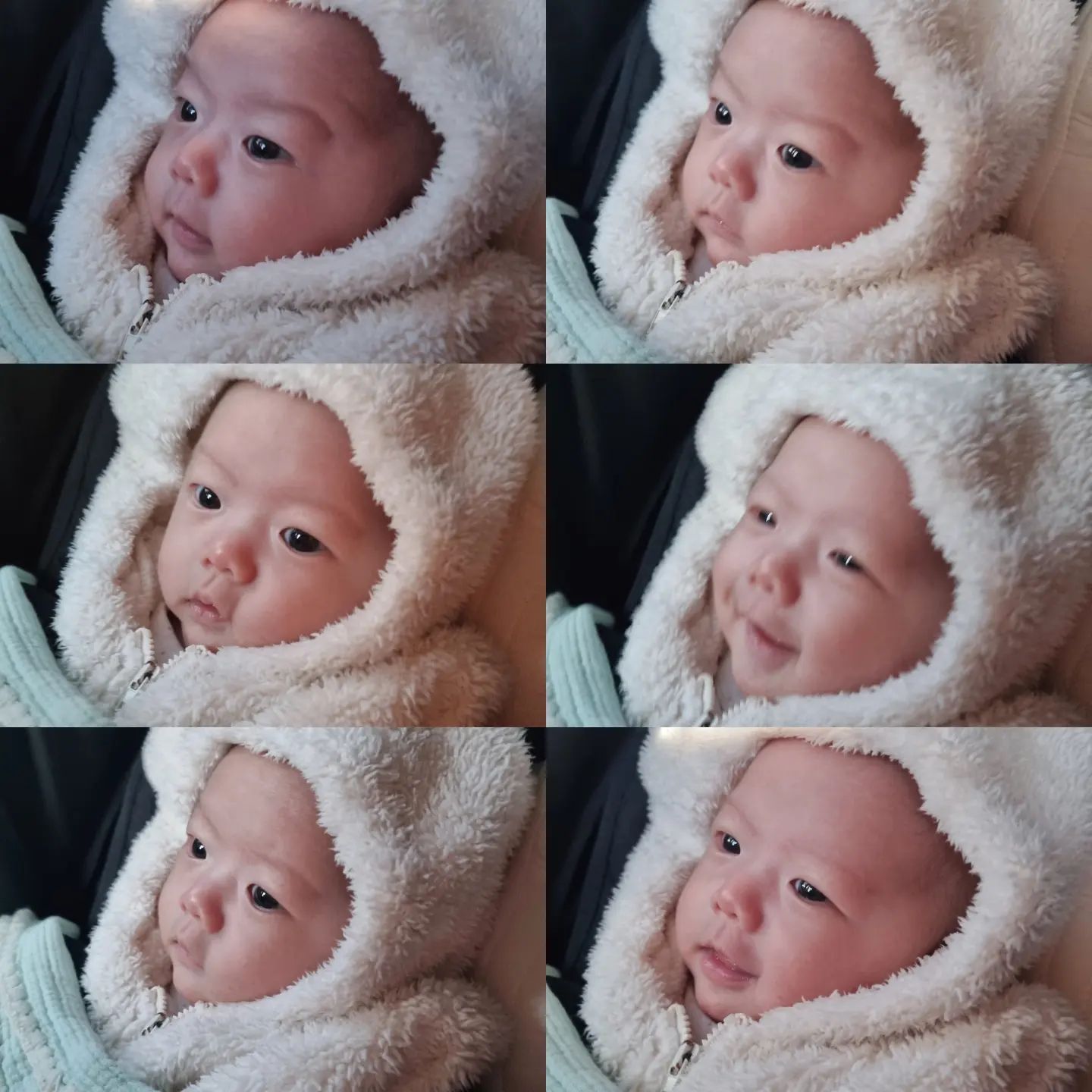 아기들은 어플아니고 기본카메라로 찍어도 다예쁘다... 좋겠다😚
콧대가 점점 올라오는 중! 
👶
.
.
#육아소통 #육아기록 #맘스타그램 #아기스타그램 #육아맘소통 #호랑이띠아기 #아들맘소통 #일상기록