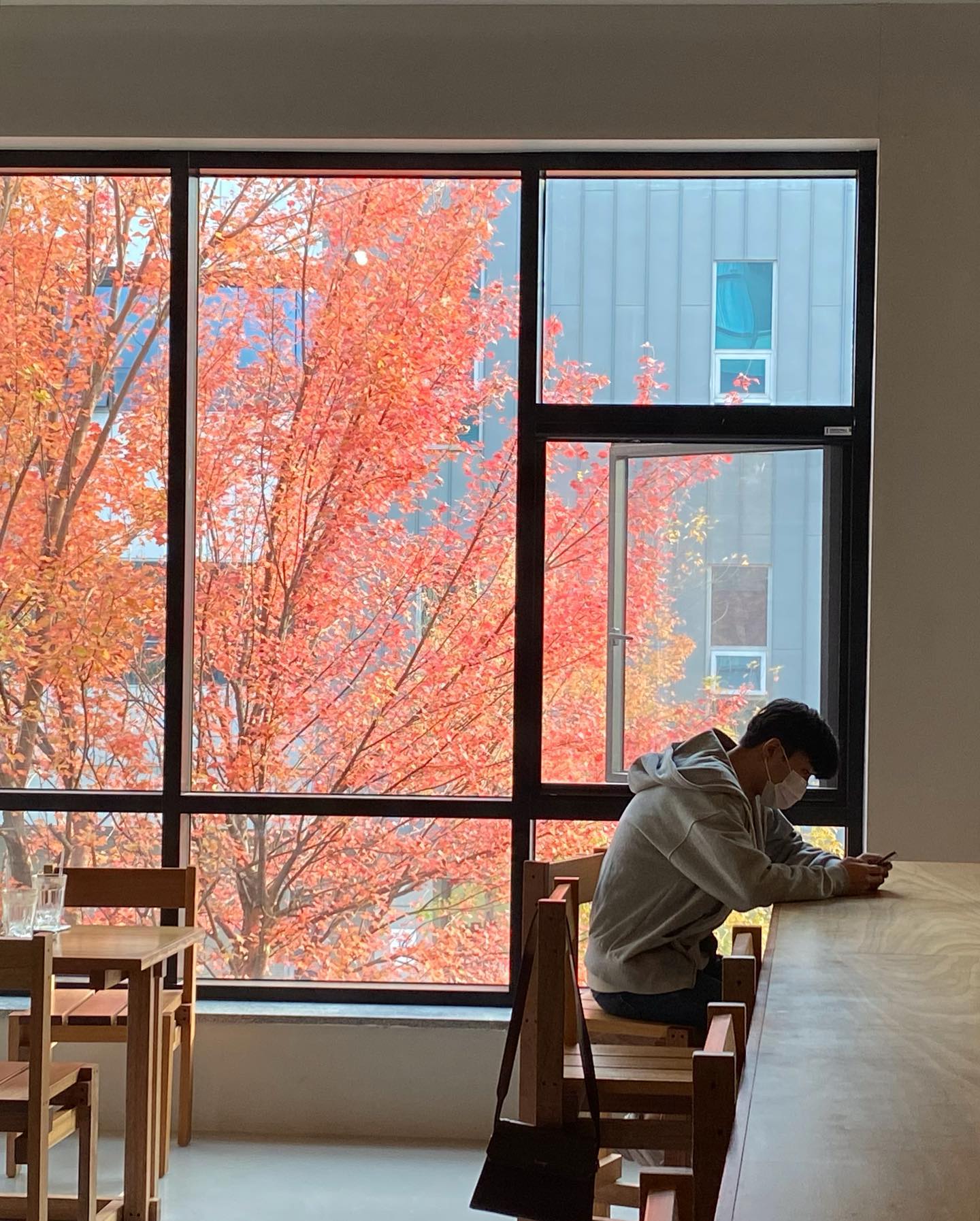 🍁11월