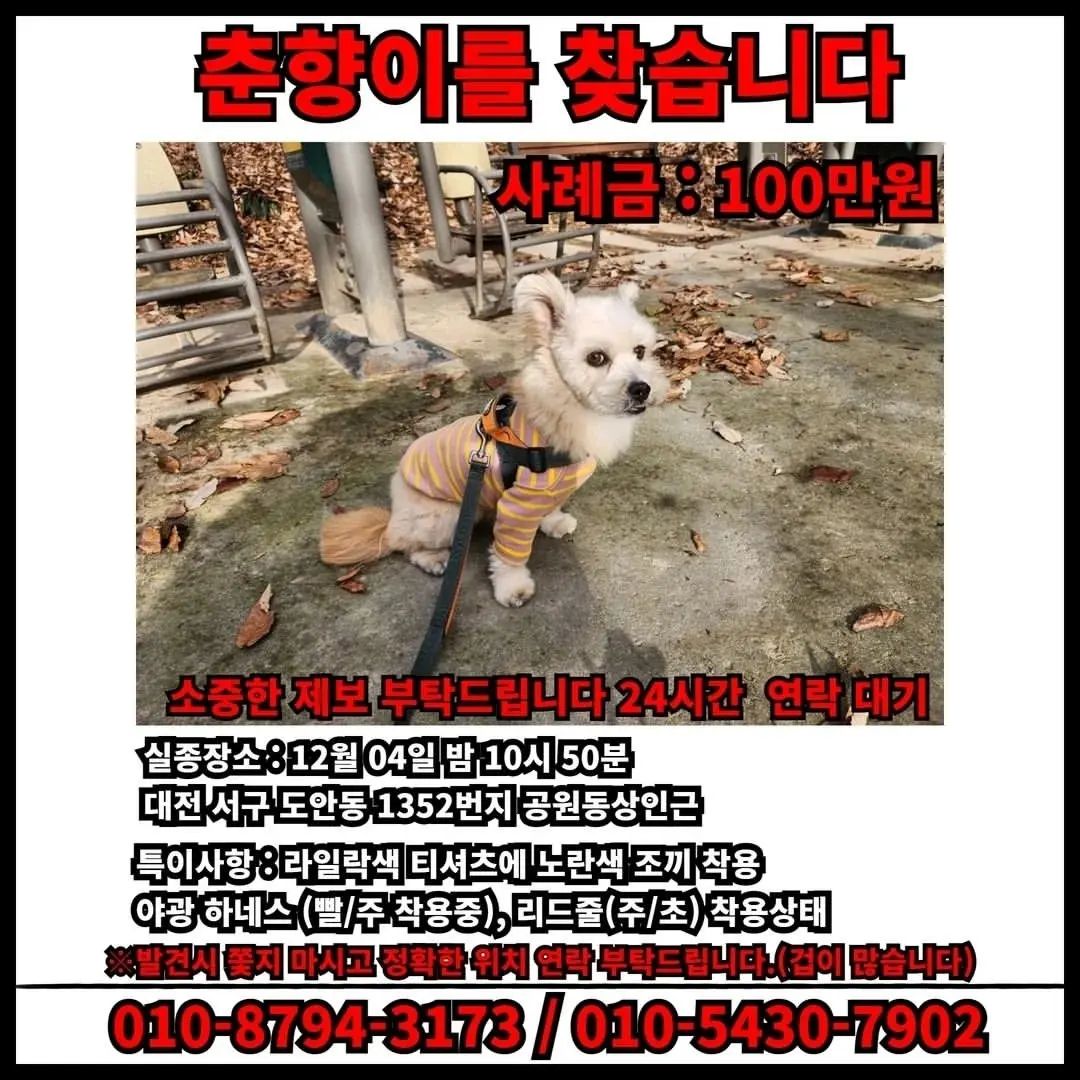❤ #리그램 - catchdog_team_ by get_regrammer
🆘️🆘️긴급 춘향이를 찾습니다🆘️🆘️
⠀
✔️이름 : 춘향이
✔️나이 : 4살
✔️성별 : 여아
✔️몸무게 : 6~7kg
✔️털색 : 아이보리
✔️동물등록 : 410 160 010 751 604
⠀
✅️실종장소 : 대전 서구 도안동 1352번지
공원동상 인근
✅️실종시간 : 12월 04일 밤 10시 50분경
✅️특이사항 : 겁이 많아 목격하시면 쫓지 마시고 정확한 위치 연락부탁드립니다🆘️
⠀
010-8794-3173/ 010-5430-7902

지인의 반려견입니다ㅜㅜ...꼭 부탁드립니다🙏🙏🙏
⠀
#대전시청 #서구 #도안동 #춘향이
#유기견 #유실견 #하네스 #반려인
#사례금 #실종 #제보 #무한공유
