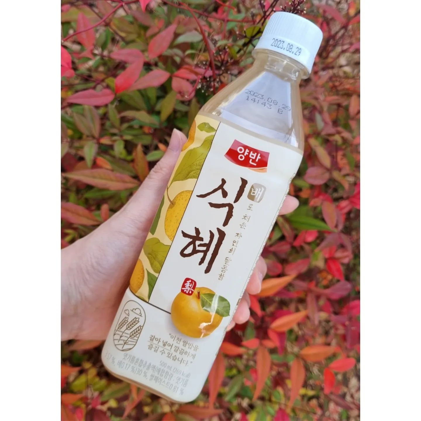 #협찬

식혜킬러인 제가 자주 마시고 있는 음료 중 하나인 양반배식혜 이번에도 마셔봤어요~!!

✔️언제 마셔도 시원하니 맛있는 음료가 식혜인데 배까지 합쳐진 식혜여서 맛없을 수 없는 상큼한 음료에요.🌿

✔️이천 쌀과 국내산 토종 배를 사용하여 전통기법 그대로 쌀밥을 곱게 갈아 넣어 만들어진 달콤한 배식혜🤍

✔️목넘김이 깔끔하고 달달함과 상큼함을 가지고 있는 배식혜여서 온 가족은 물론 아이들까지 부담 없이 맛있게 마실 수 있어요.👍👍

식사 후에 깔끔하게 마시거나 갈증날 때, 디저트를 먹으며 건강음료로 달콤하게 마시기 최고.!🎀

📌식혜를 좋아하신다면 국내산 원료로 안전하게 만든 배식혜로 상큼하게 마실 수 있어 찐추천합니다.😍🩶

#동원식혜 #양반식혜 #배식혜 #동원양반배식혜 #명절음료 #전통음료 #식혜추천 #배식혜추천 #음료추천 #전통음료추천 #양반배식혜