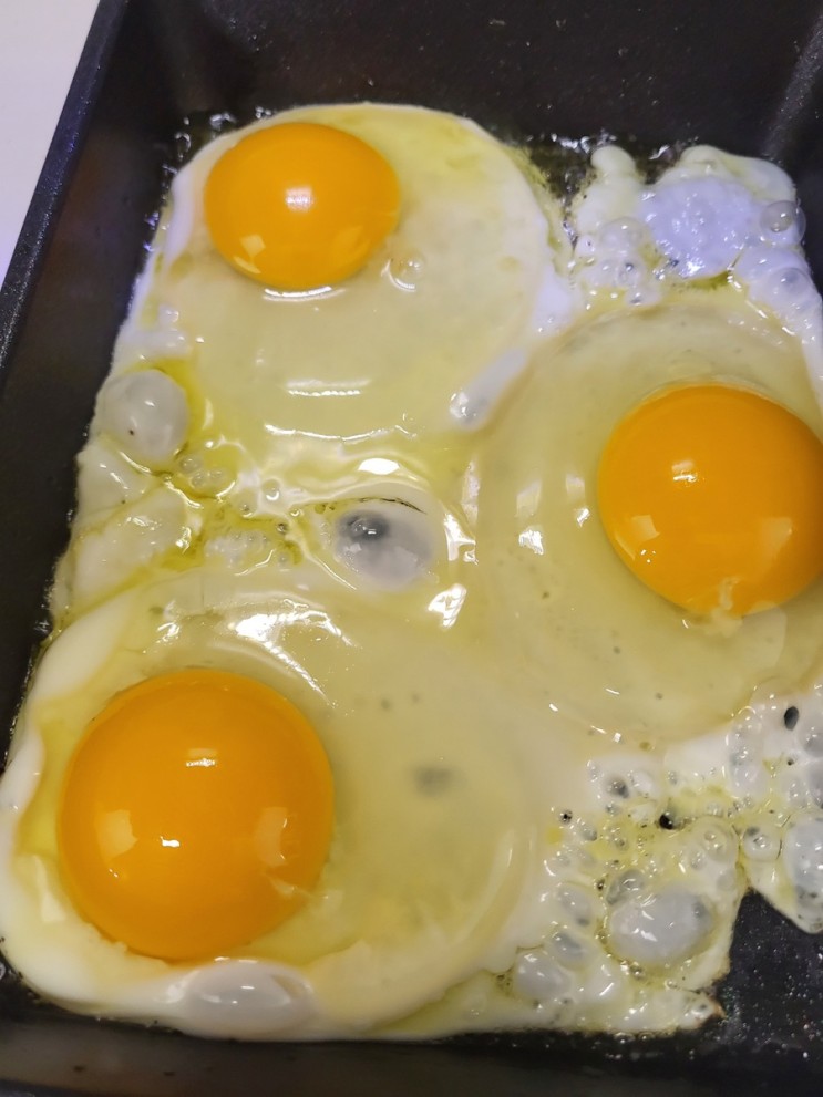 친환경 골든팜 유정란, 당일발송 탱글탱글 계란 추천!