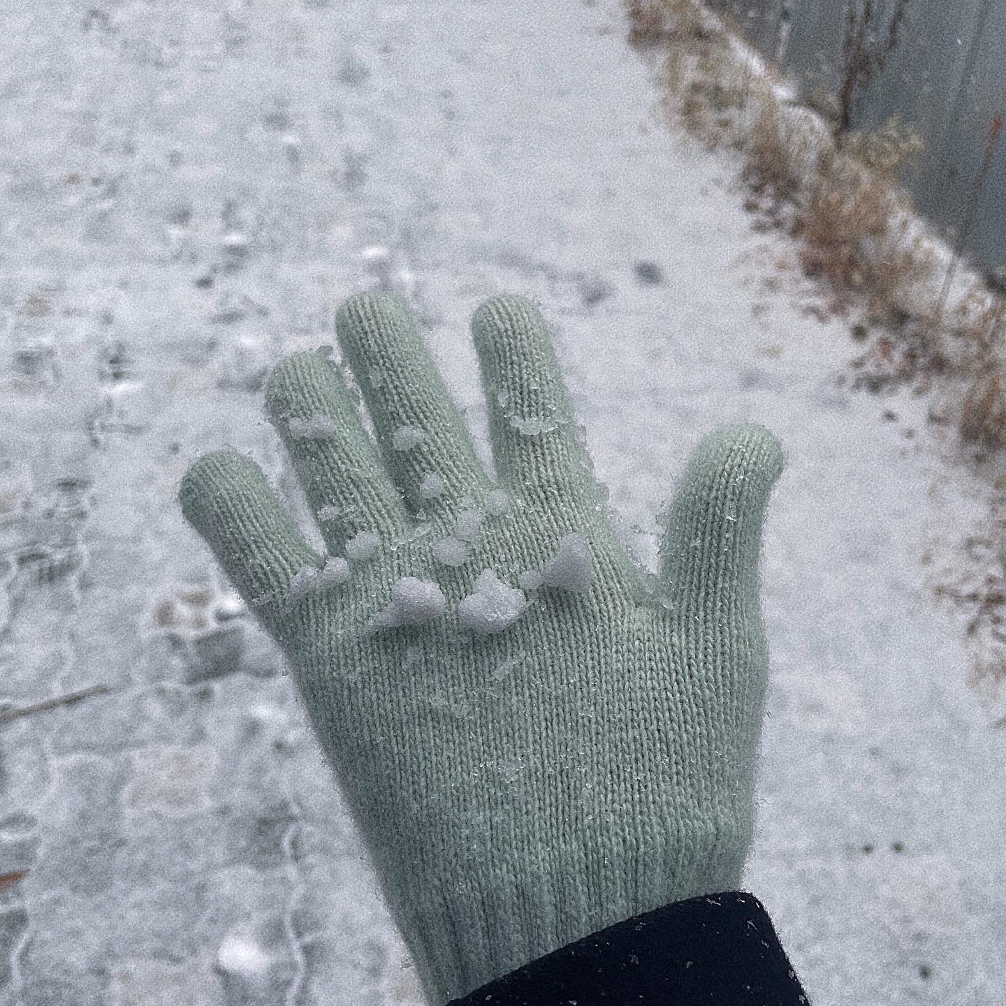 동글동글 반짝반짝 크리스마스이브의이브의이브의이브의이브🎄✨