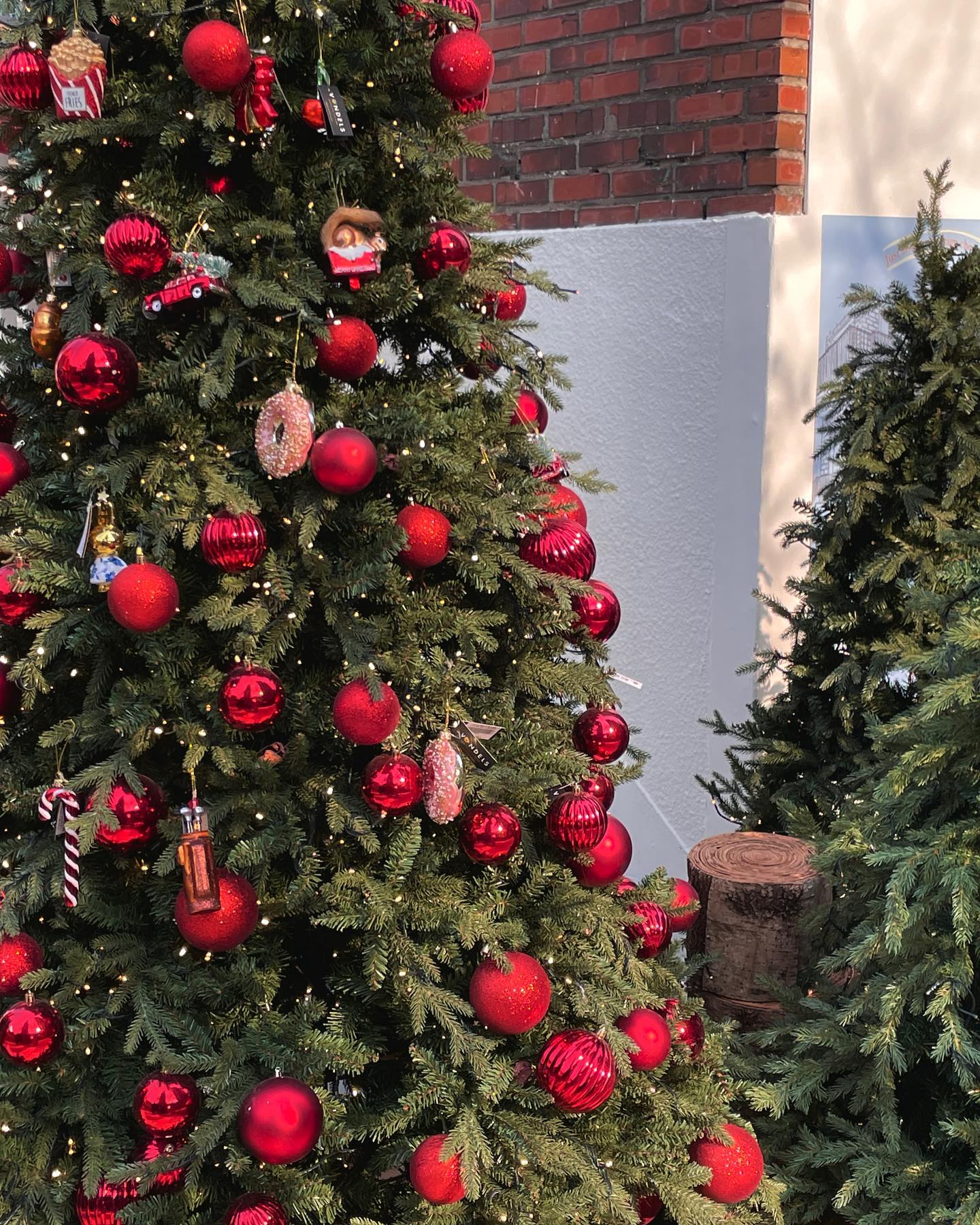 🎄