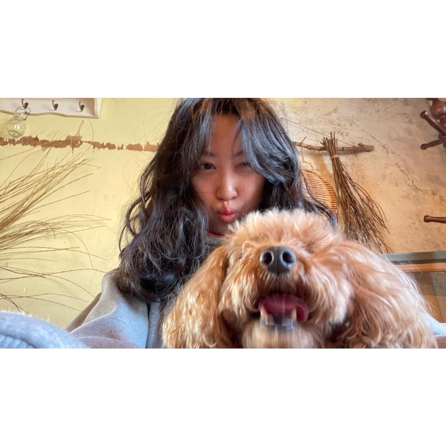 🐾