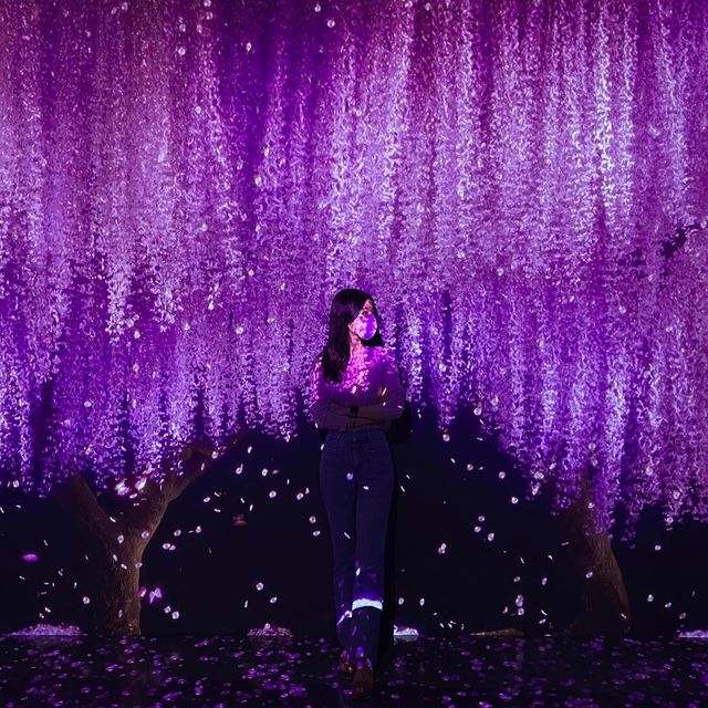 쩡🐰 on Instagram: "#협찬 @artemuseum_yeosu 남푠이랑 두번째로 다녀온 여수 아르떼뮤지엄 저번보다 새롭게 리뉴얼되서 더 좋았지모야😍 내가 색칠한 가오리랑 남푠이 색칠한 복어🐡 동심으로