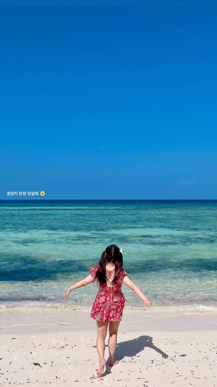 [나의결혼/신혼여행(몰디브🏝) ] 3탄 🎀 5박7일 스토리  (디구라리조트,꿀팁,팔루마푸시,식당)