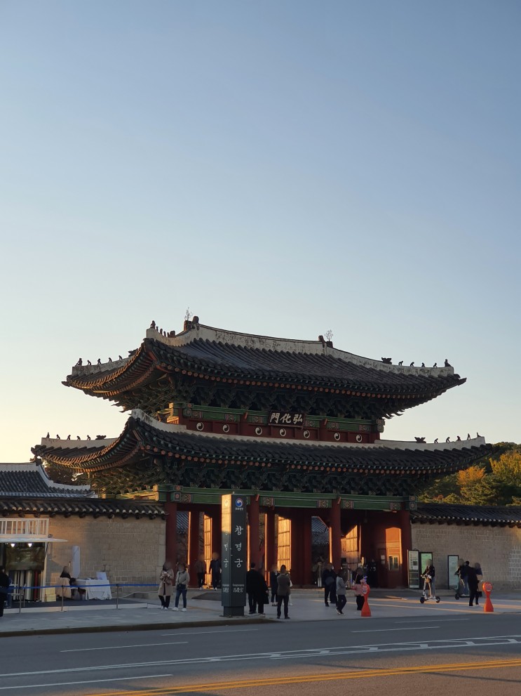 현장체험학습