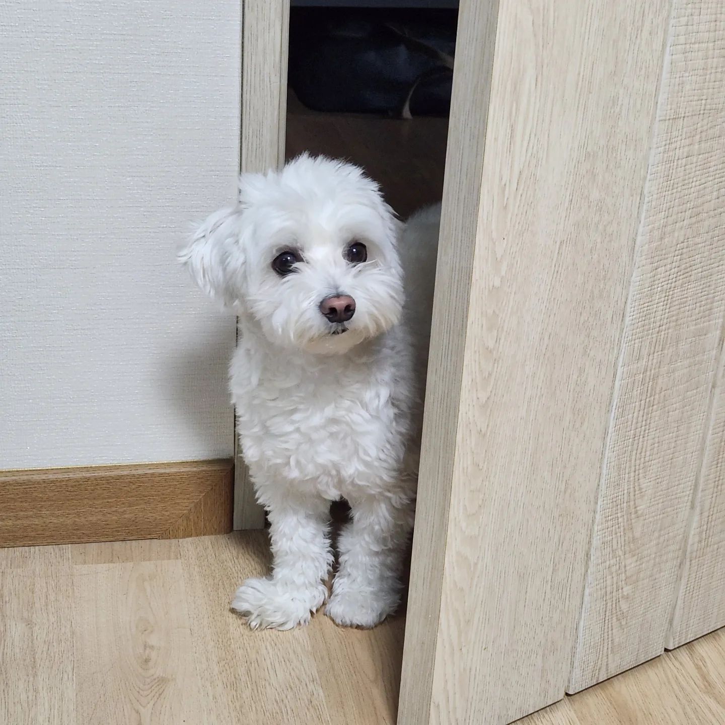 언니.. 모해..?